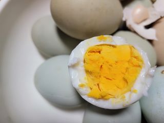 여우내 이순홍님의 자유주제 · 자유게시판 작성글 사진