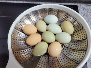 여우내 이순홍님의 자유주제 · 자유게시판 작성글 사진