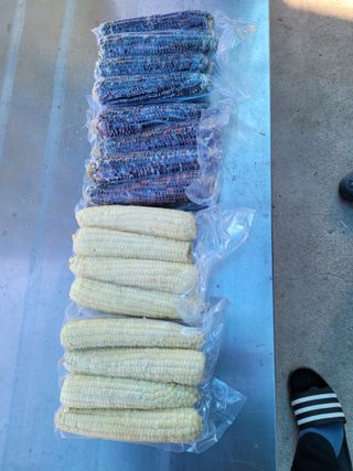 염한수님의 작성글 사진