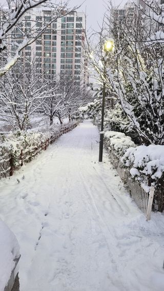 박순덕님의 연말인사 함께 나눠요·참여글 작성글 사진