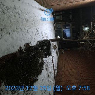 노.노.무라.하노.님의 농사, 무엇이든 물어보세요! · 참여글 작성글 사진