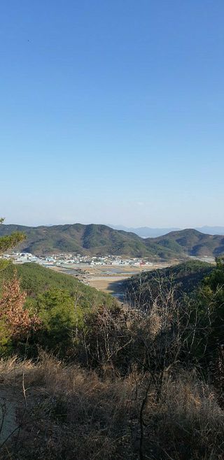 낙엽교목류21902님의 연말인사 함께 나눠요·참여글 작성글 사진