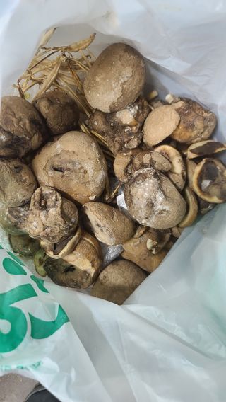 이덕훈(바쁜사람)님의 자유주제 · 자유게시판 작성글 사진