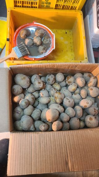 이덕훈(바쁜사람)님의 자유주제 · 자유게시판 작성글 사진