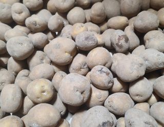 이덕훈(바쁜사람)님의 자유주제 · 자유게시판 작성글 사진