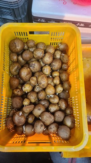 이덕훈(바쁜사람)님의 자유주제 · 자유게시판 작성글 사진