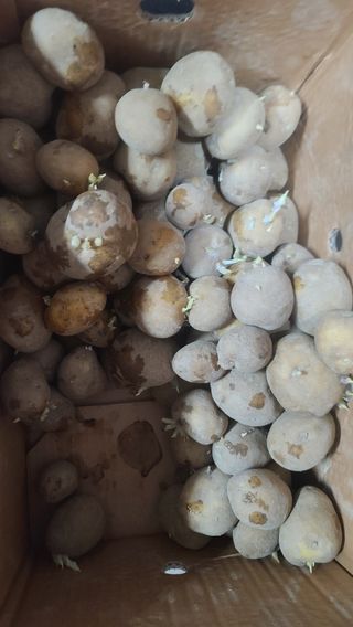 이덕훈(바쁜사람)님의 자유주제 · 자유게시판 작성글 사진