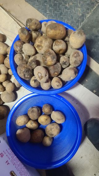 이덕훈(바쁜사람)님의 자유주제 · 자유게시판 작성글 사진