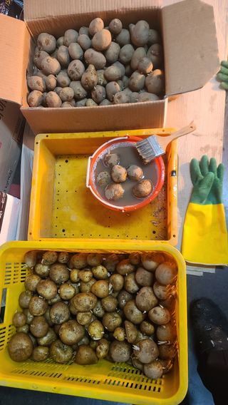 이덕훈(바쁜사람)님의 자유주제 · 자유게시판 작성글 사진