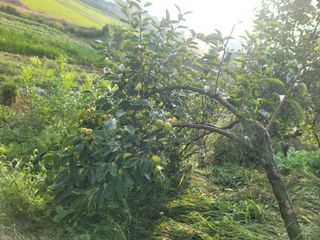 황금알대박농원!님의 연말인사 함께 나눠요 · 참여글 작성글 사진