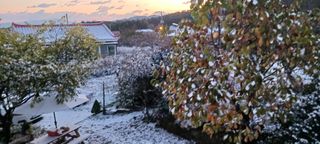 청암농원단감(송본)님의 연말결산 자랑하기 · 참여글 작성글 사진