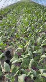 팜모닝 연말결산 자랑하기·참여글 게시글 이미지