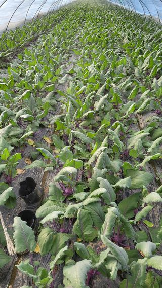 정동환님의 연말결산 자랑하기 · 참여글 작성글 사진