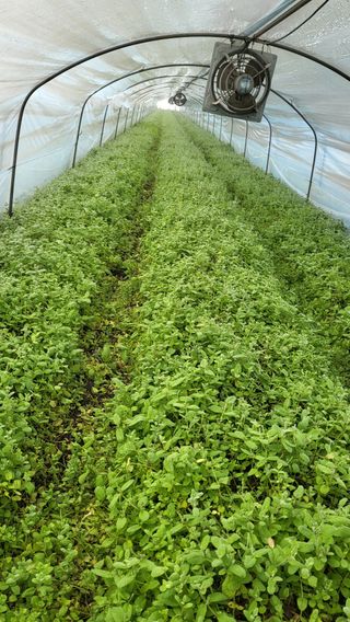 정동환님의 연말결산 자랑하기 · 참여글 작성글 사진