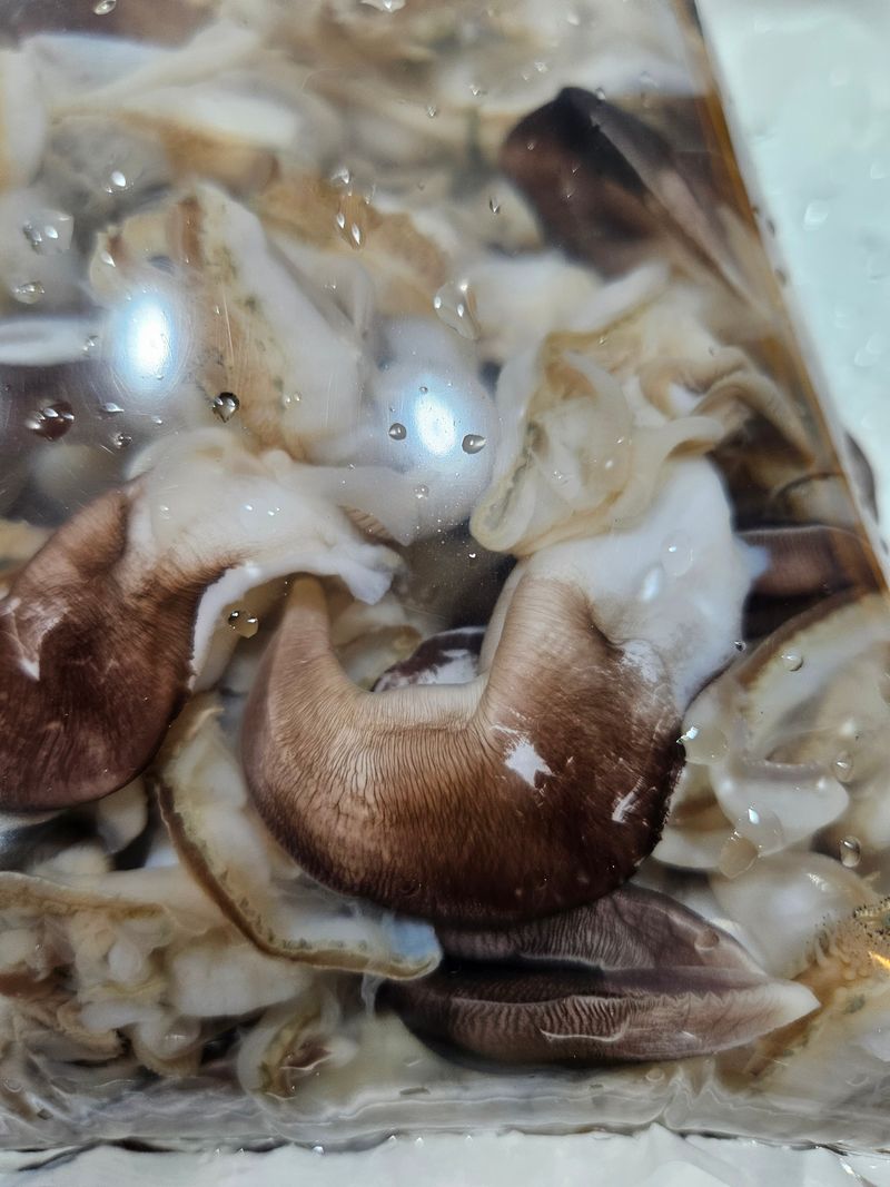 장터 상품 [새조개 1kg] 썸네일