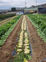 팜모닝 팜모닝에서 기억에 남은 것은?·참여글 게시글 이미지