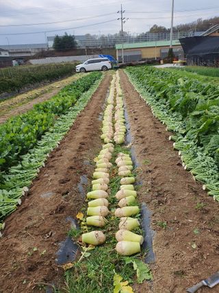 풀과의전쟁&최병환님의 팜모닝에서 기억에 남은 것은? · 참여글 작성글 사진