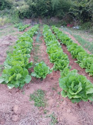 조현길님의 팜모닝에서 기억에 남은 것은? · 참여글 작성글 사진