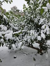 팜모닝 팜모닝에서 기억에 남은 것은?·참여글 게시글 이미지