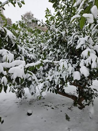 한라봉0909님의 팜모닝에서 기억에 남은 것은? · 참여글 작성글 사진