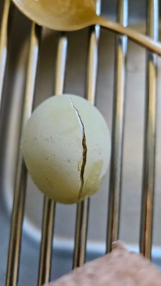 규사미님의 팜모닝에서 기억에 남은 것은? · 참여글 작성글 사진