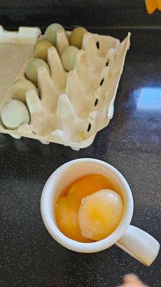 규사미님의 팜모닝에서 기억에 남은 것은? · 참여글 작성글 사진