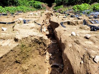 산신님의 팜모닝에서 기억에 남은 것은? · 참여글 작성글 사진