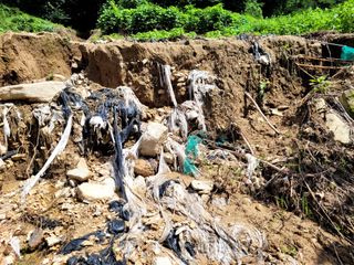 산신님의 팜모닝에서 기억에 남은 것은? · 참여글 작성글 사진