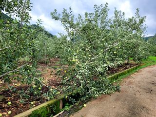 산신님의 팜모닝에서 기억에 남은 것은? · 참여글 작성글 사진