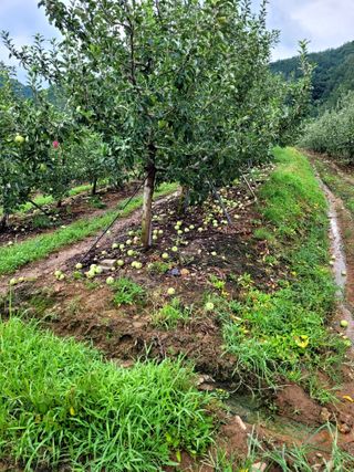 산신님의 팜모닝에서 기억에 남은 것은? · 참여글 작성글 사진