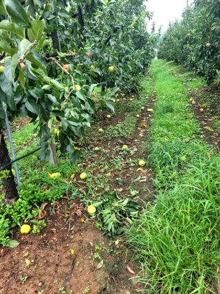 산신님의 팜모닝에서 기억에 남은 것은? · 참여글 작성글 사진