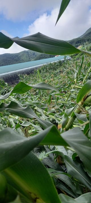 강성분님의 팜모닝에서 기억에 남은 것은? · 참여글 작성글 사진