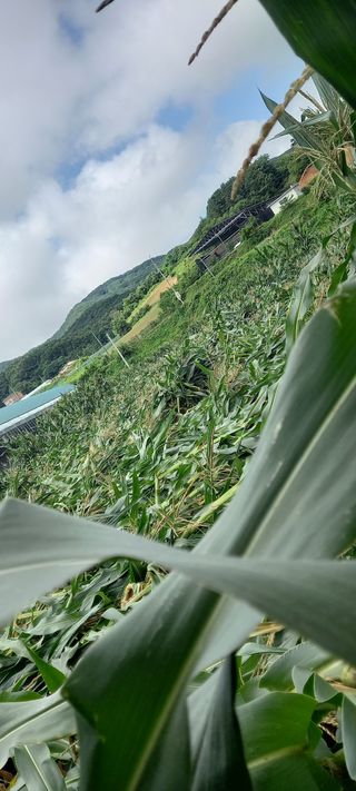 강성분님의 팜모닝에서 기억에 남은 것은? · 참여글 작성글 사진