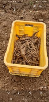 팜모닝 팜모닝에서 기억에 남은 것은?·참여글 게시글 이미지