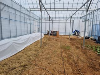 선선농원님의 기타작물 · 영농일지 작성글 사진