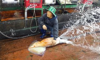 딸기13732님의 팜모닝에서 기억에 남은 것은? · 참여글 작성글 사진