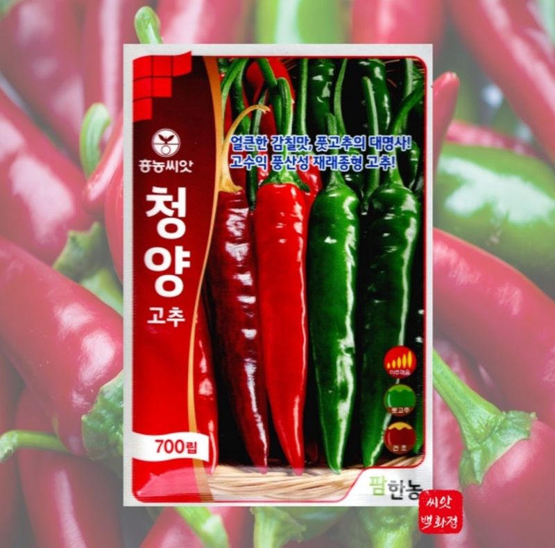 대산농사대장님의 장터 판매 상품 [흥농씨앗 청양고추 700립 재래종 2025년 햇종자 풋고추  ] 첨부 사진