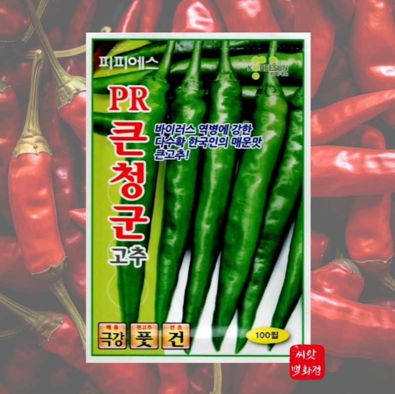 대산농사대장님의 장터 판매 상품 [PR큰청군고추씨앗 100립 큰청양고추종자 ] 첨부 사진