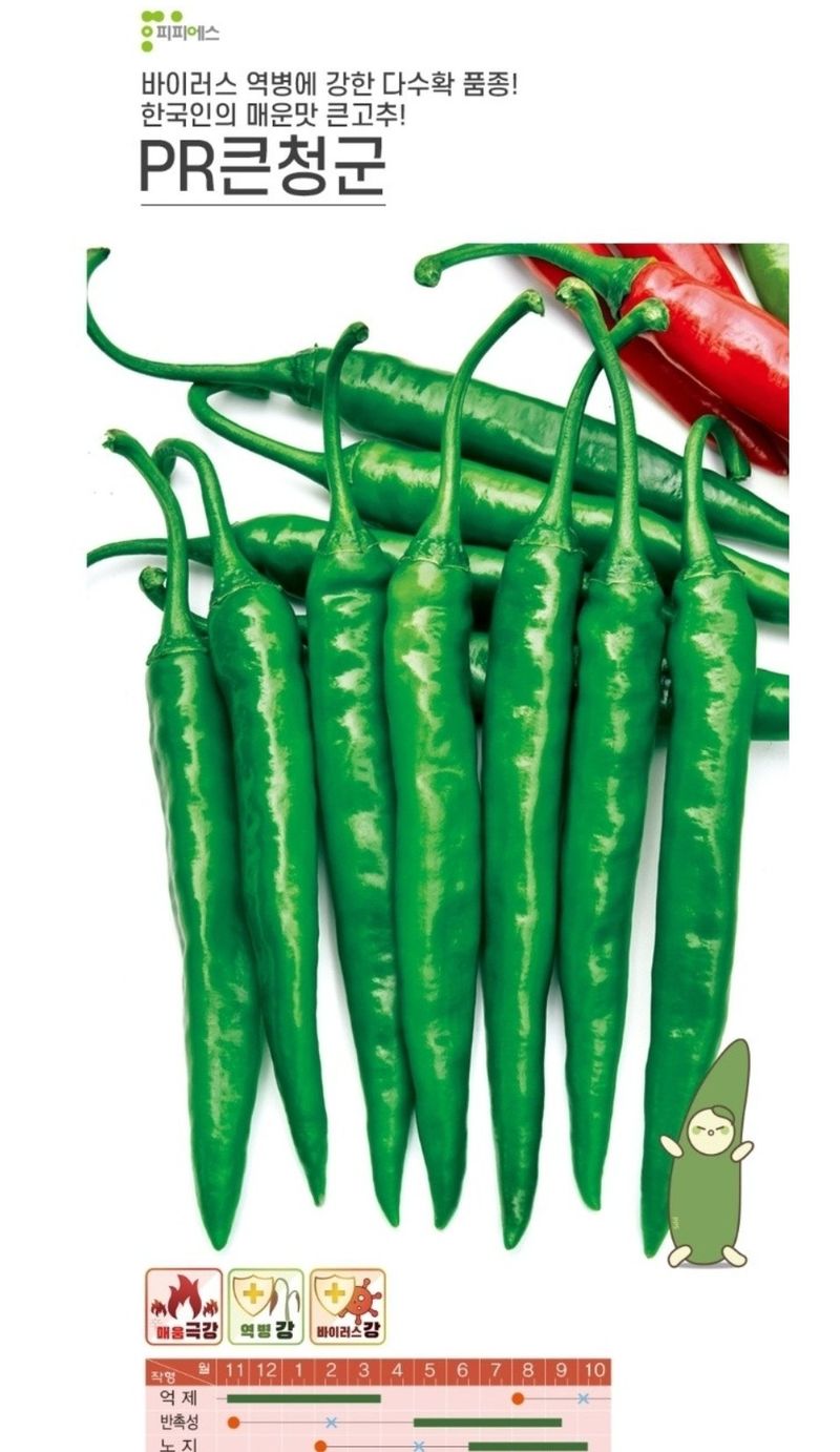 대산농사대장님의 장터 판매 상품 [PR큰청군고추씨앗 100립 큰청양고추종자 ] 첨부 사진