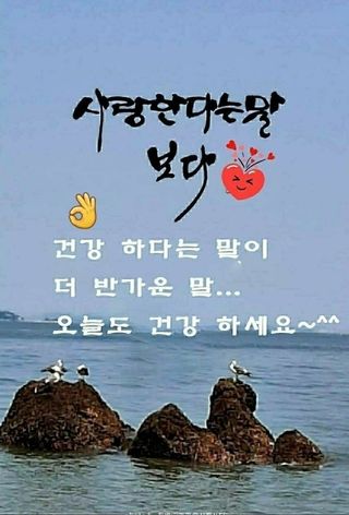 당진시 옥수수님의 팜모닝에서 기억에 남은 것은? · 참여글 작성글 사진