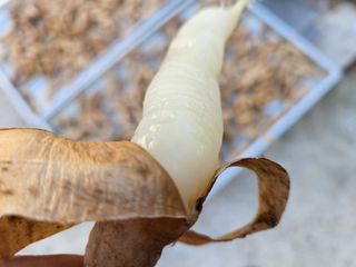 이창신님의 기타작물 · 자유게시판 작성글 사진