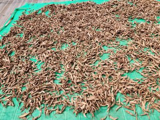 이창신님의 기타작물 · 자유게시판 작성글 사진