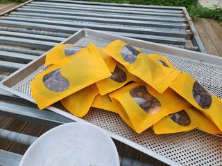 이창신님의 기타작물 · 자유게시판 작성글 사진