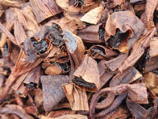 이창신님의 기타작물 · 자유게시판 작성글 사진