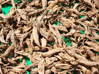 이창신님의 기타작물 · 자유게시판 작성글 사진