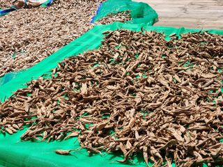 이창신님의 기타작물 · 자유게시판 작성글 사진