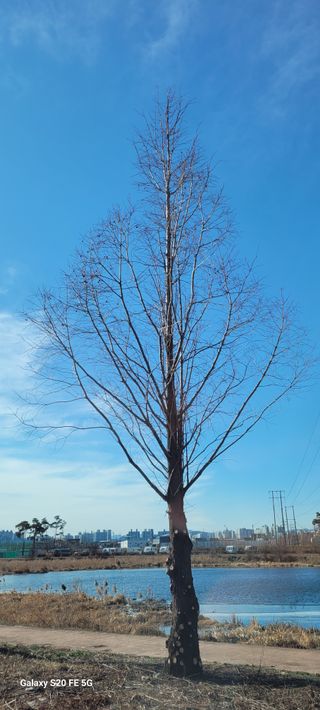 진채근님의 팜모닝에서 기억에 남은 것은? · 참여글 작성글 사진