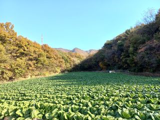 혜향님의 팜모닝에서 기억에 남은 것은? · 참여글 작성글 사진