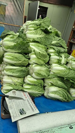 엄인영님의 팜모닝에서 기억에 남은 것은? · 참여글 작성글 사진