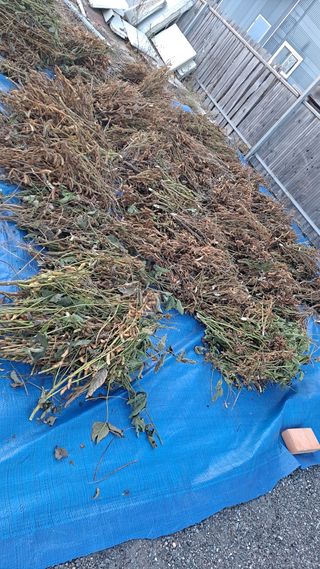 엄인영님의 팜모닝에서 기억에 남은 것은? · 참여글 작성글 사진